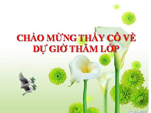 Bài 13. Dấu ngoặc đơn và dấu hai chấm