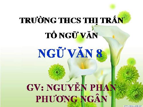 Bài 13. Đề văn thuyết minh và cách làm bài văn thuyết minh