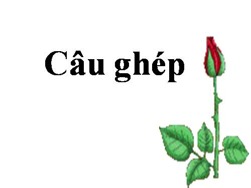 Bài 12. Câu ghép (tiếp theo)