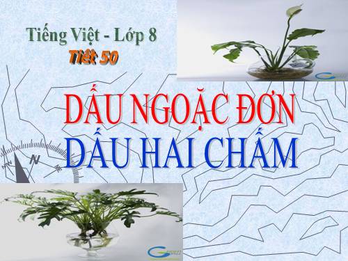 Bài 13. Dấu ngoặc đơn và dấu hai chấm