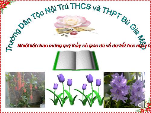 Bài 11. Tìm hiểu chung về văn bản thuyết minh