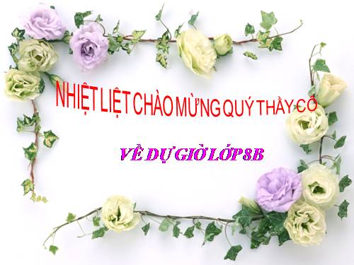 Bài 10. Thông tin về Ngày Trái Đất năm 2000