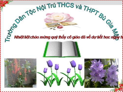 Bài 11. Tìm hiểu chung về văn bản thuyết minh