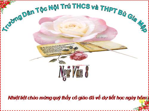 Bài 10. Nói giảm nói tránh