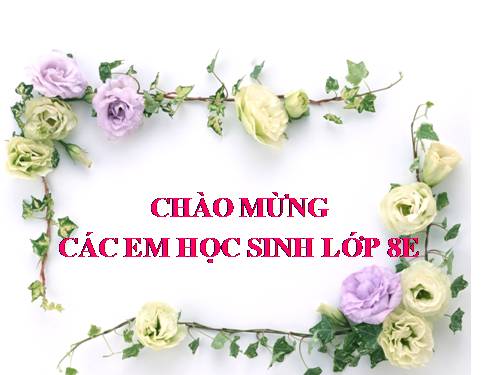 Bài 8. Chiếc lá cuối cùng