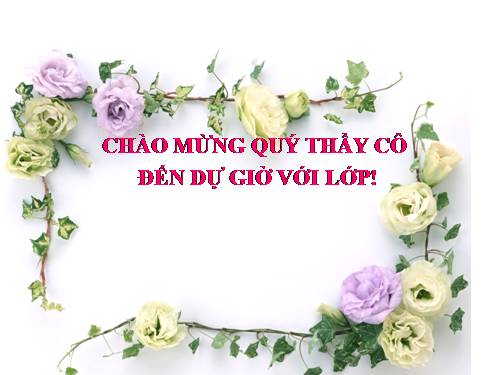 Bài 6. Trợ từ, thán từ