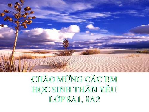 Bài 5. Tóm tắt văn bản tự sự