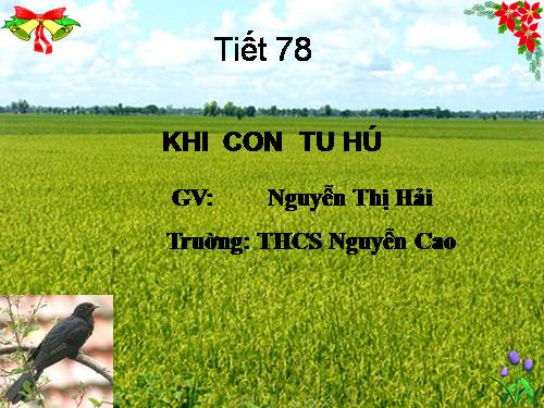 Bài 19. Khi con tu hú