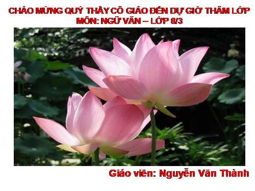 Bài 28. Lựa chọn trật tự từ trong câu
