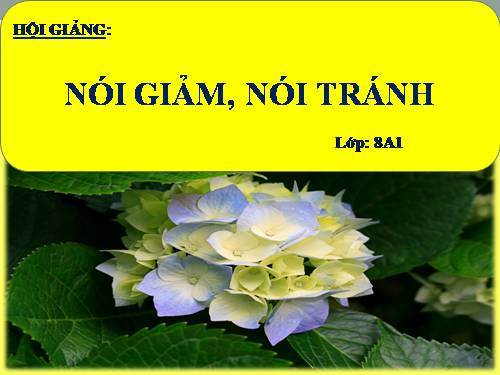 Bài 10. Nói giảm nói tránh