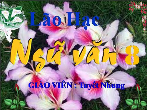 Bài 4. Lão Hạc