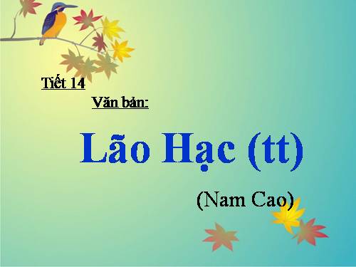 Bài 4. Lão Hạc