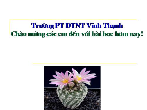 Bài 1. Tôi đi học