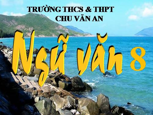 Bài 15. Ôn luyện về dấu câu