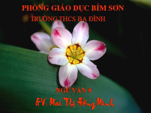 Bài 26. Thuế máu