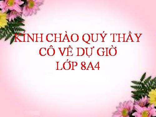 Bài 7. Đánh nhau với cối xay gió