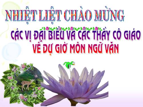 Bài 27. Đi bộ ngao du