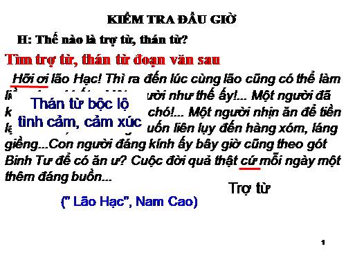 Bài 7. Tình thái từ
