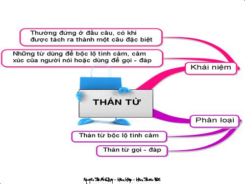 Bài 6. Trợ từ, thán từ