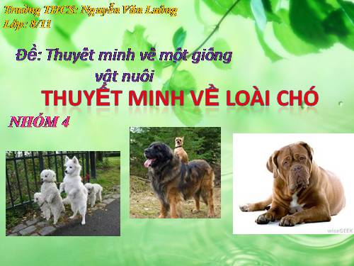 thuyết minh về con vật em yêu thích