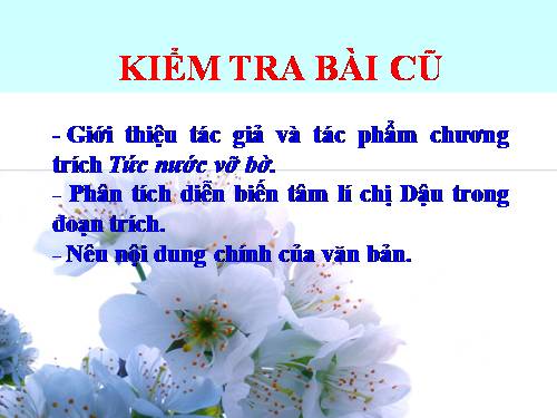 Bài 4. Lão Hạc