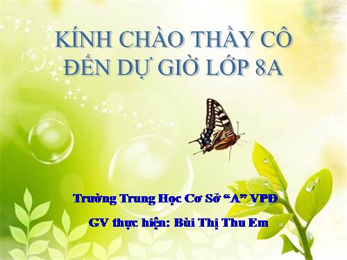 Bài 7. Tình thái từ