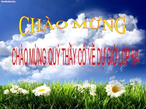 Bài 20. Ôn tập về văn bản thuyết minh