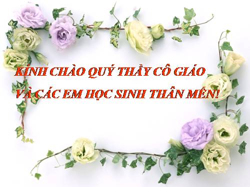 Bài 33. Tổng kết phần Văn (tiếp theo)
