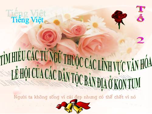 GDĐP Tìm hiểu các từ ngữ thuộc các lĩnh vực văn hóa lễ hội của các dân tộc bản địa ở Kon Tum ( tìm hiểu về cột thiêng lễ hội)