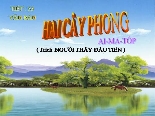 Bài 9. Hai cây phong