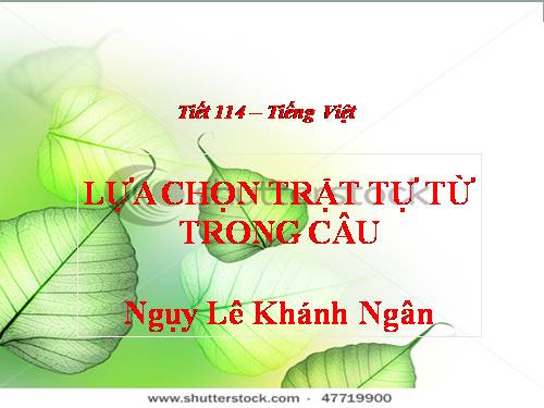 Bài 28. Lựa chọn trật tự từ trong câu