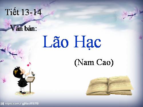 Bài 4. Lão Hạc