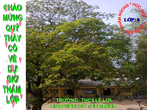 Bài 28. Lựa chọn trật tự từ trong câu