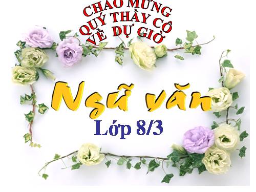 Bài 15. Ôn luyện về dấu câu