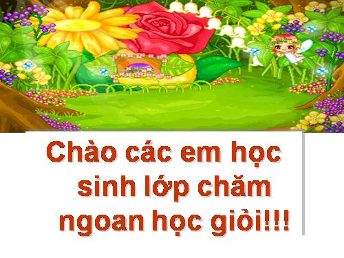 Bài 13. Dấu ngoặc đơn và dấu hai chấm