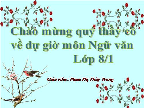 Bài 7. Tình thái từ