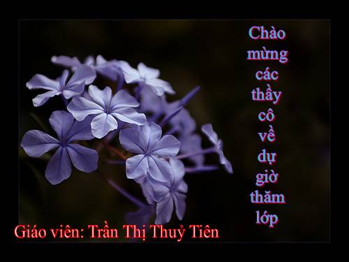 Bài 7. Tình thái từ