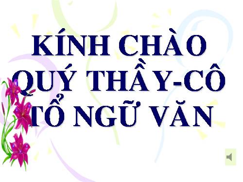 Bài 28. Lựa chọn trật tự từ trong câu