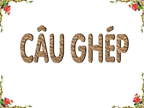 Bài 11. Câu ghép