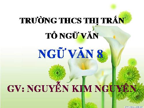 Bài 13. Đề văn thuyết minh và cách làm bài văn thuyết minh