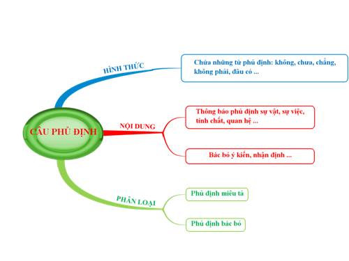 Câu phủ định