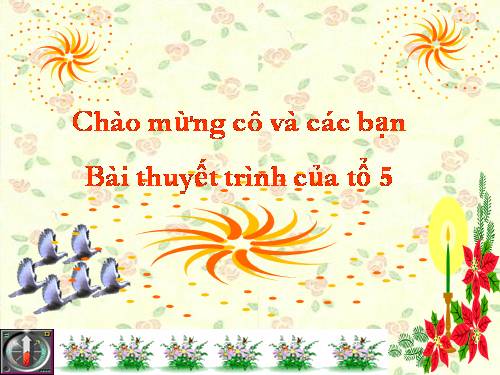 Bài 10. Thông tin về Ngày Trái Đất năm 2000