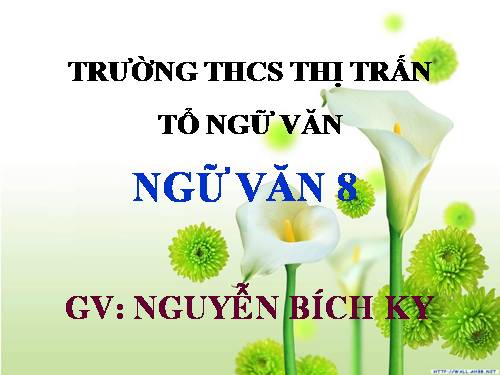 Bài 13. Đề văn thuyết minh và cách làm bài văn thuyết minh