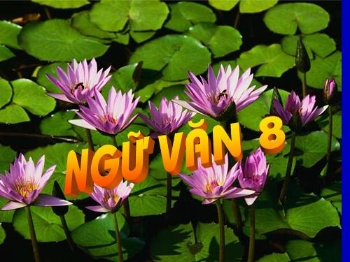 Bài 13. Bài toán dân số
