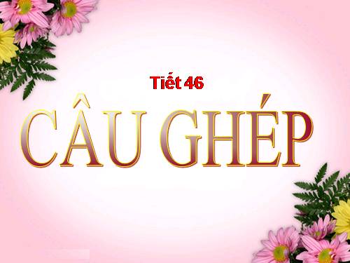 Bài 12. Câu ghép (tiếp theo)