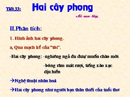 Bài 9. Hai cây phong