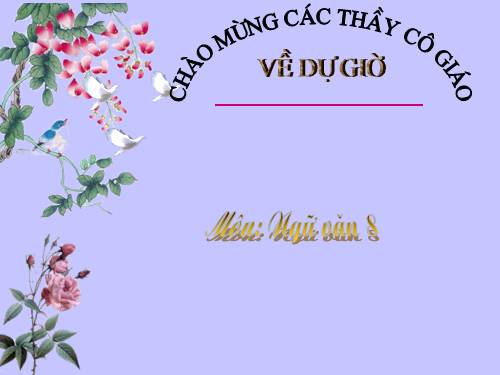 Bài 15. Ôn luyện về dấu câu