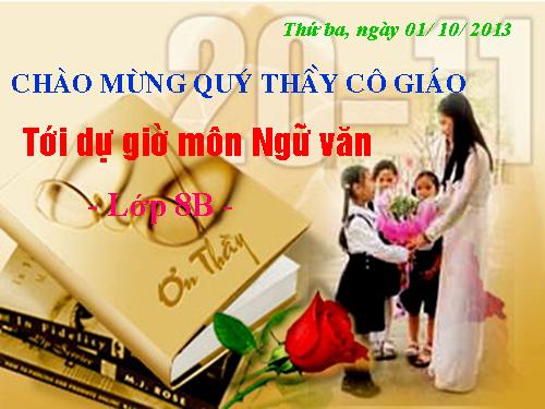 Bài 7. Tình thái từ