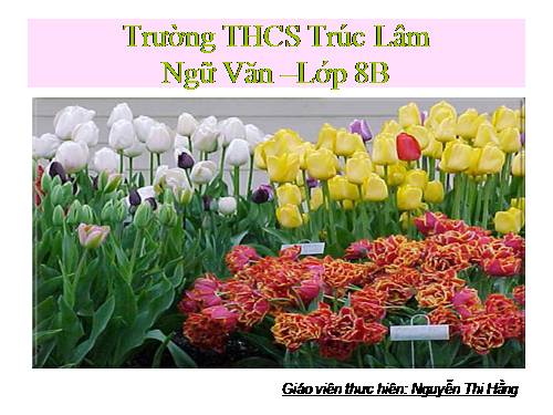 Bài 7. Luyện tập viết đoạn văn tự sự kết hợp với miêu tả và biểu cảm