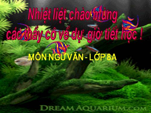 Bài 10. Nói giảm nói tránh